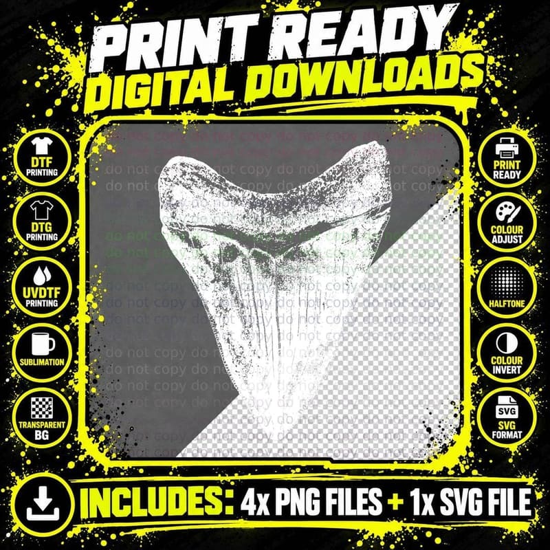 Megalodon Shark Tooth T-Shirt Meg Sharks Teeth Gift Png SVG Digital Bundle