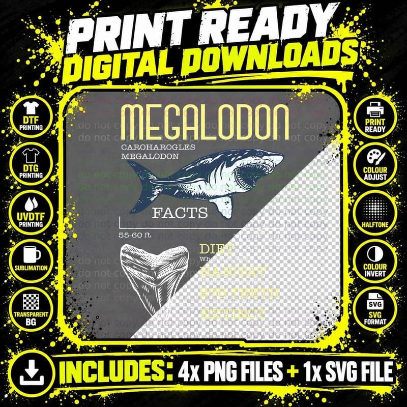 Megalodon Shirt Meg Facts Funny Shark Lover T-Shirt Png SVG Digital Bundle