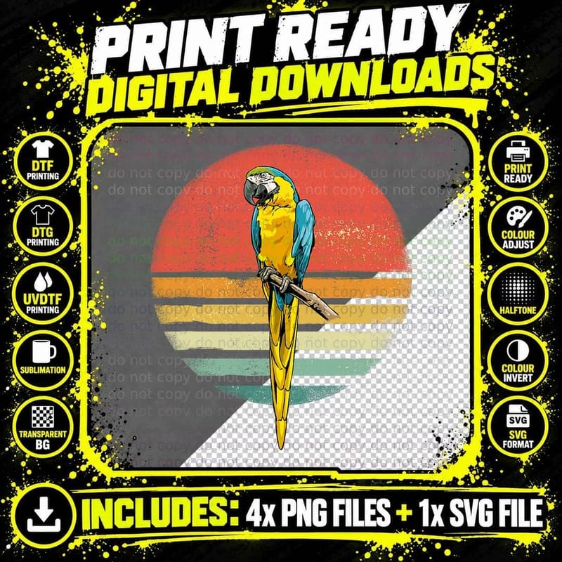 Parrot Bird Retro Parrot Birdwatcher Bird Parrot Lover Png SVG Digital Bundle