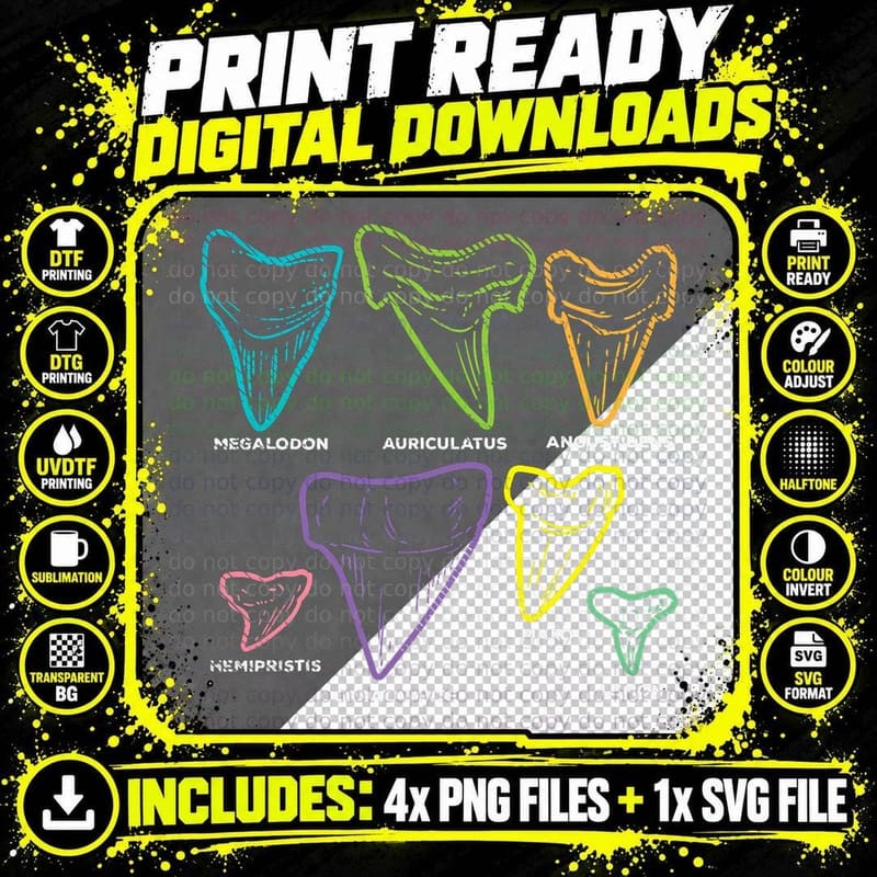 Shark Tooth Types Fossil Hunting T-Shirt Png SVG Digital Bundle