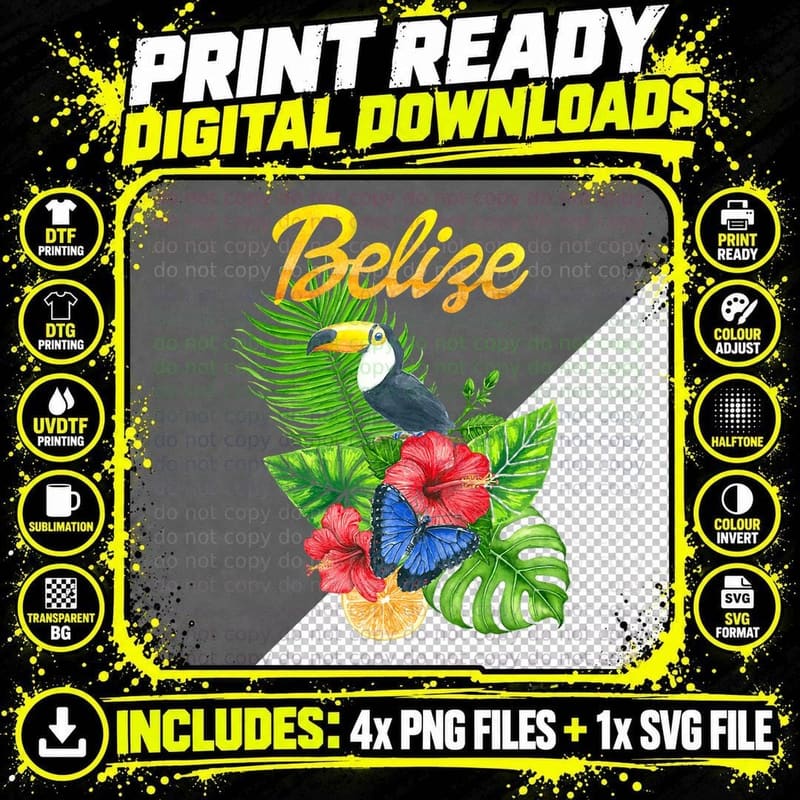 Toucan Bird Tropical Flowers Belize Travel Souvenir Png SVG Digital Bundle