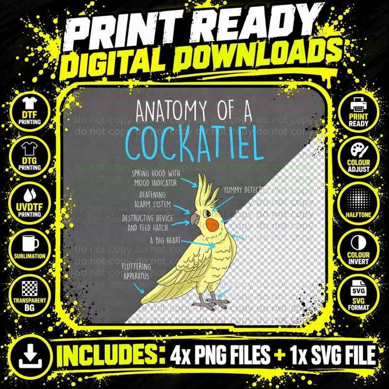 Anatomy of a Cockatiel Bird T-Shirt Png SVG Digital Bundle