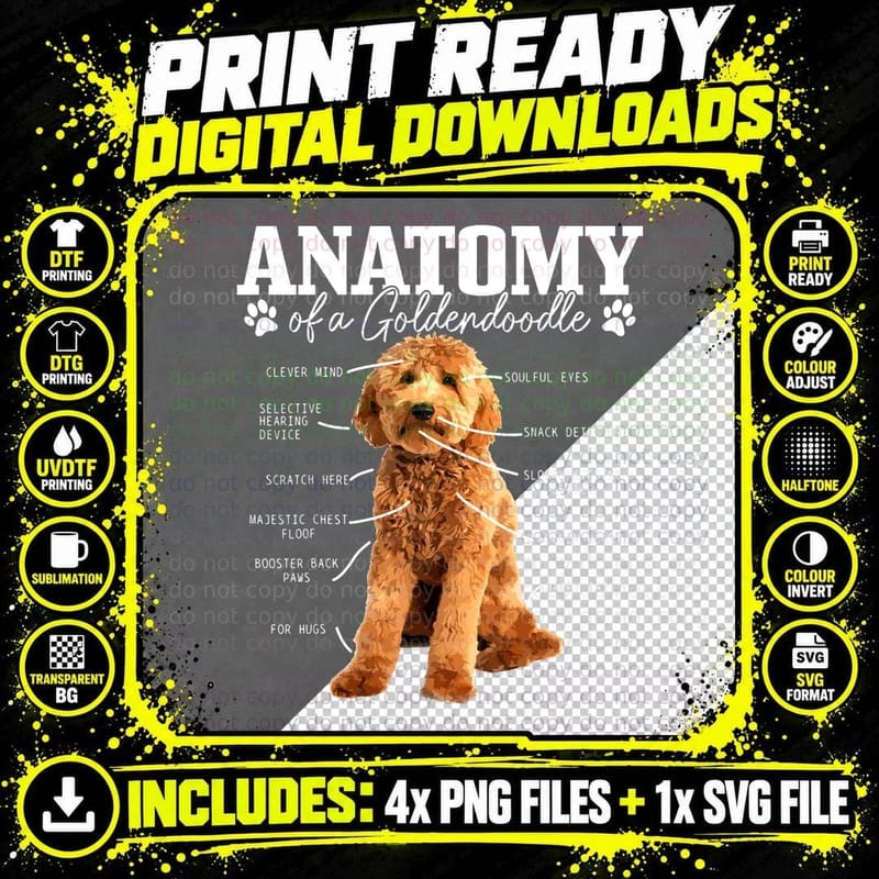 Anatomy of a Goldendoodle Funny Cute Dog Doodle Mom Dad Png SVG Digital Bundle
