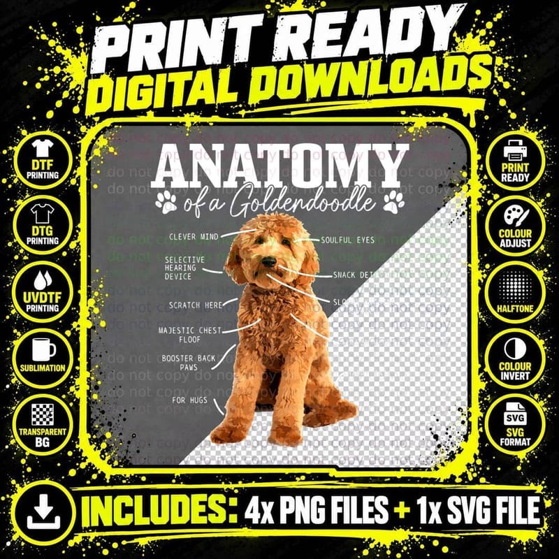 Anatomy of a Goldendoodle Funny Cute Dog Doodle Mom Dad Png SVG Digital Bundle