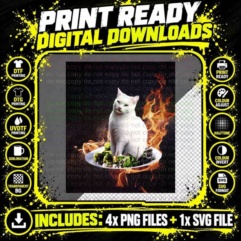 Confused Space Cat - Woman Yelling at Cat Meme T-Shirt Png SVG Digital Bundle