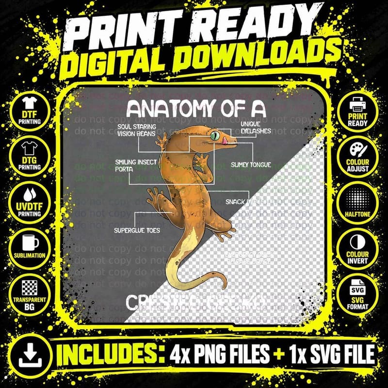 Gecko Bearded Dragon Anatomy of a Crested Gecko T-Shirt Png SVG Digital Bundle
