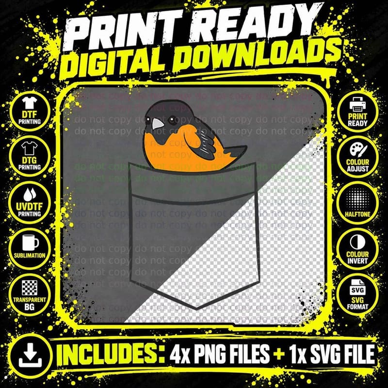 Oriole Bird in the Pocket Cute Pocket Oriole T-Shirt Png SVG Digital Bundle