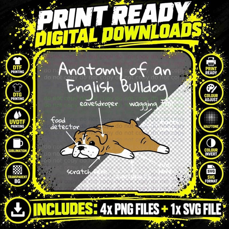 Anatomy of a English Bulldog T-Shirt Png SVG Digital Bundle