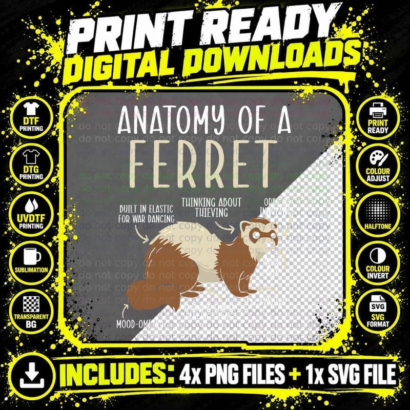 Anatomy of a Ferret Lover Wildlife Animal Ferret Owner Png SVG Digital Bundle