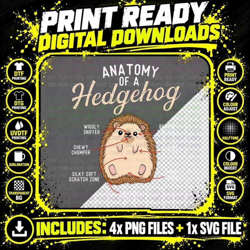 Anatomy of a Hedgehog - Animal Whisperer Porcupine Lover Png SVG Digital Bundle