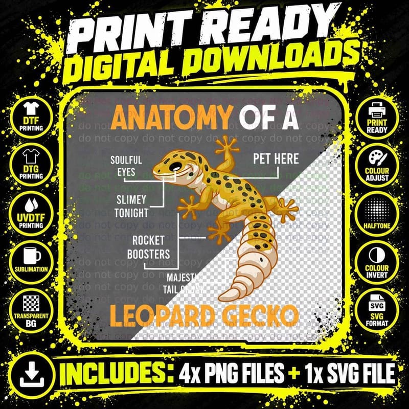 Anatomy of a Leopard Gecko Reptile Lover Lizard Png SVG Digital Bundle