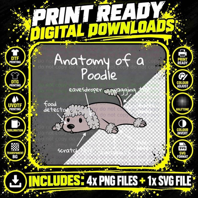 Anatomy of a Poodle T-Shirt Png SVG Digital Bundle