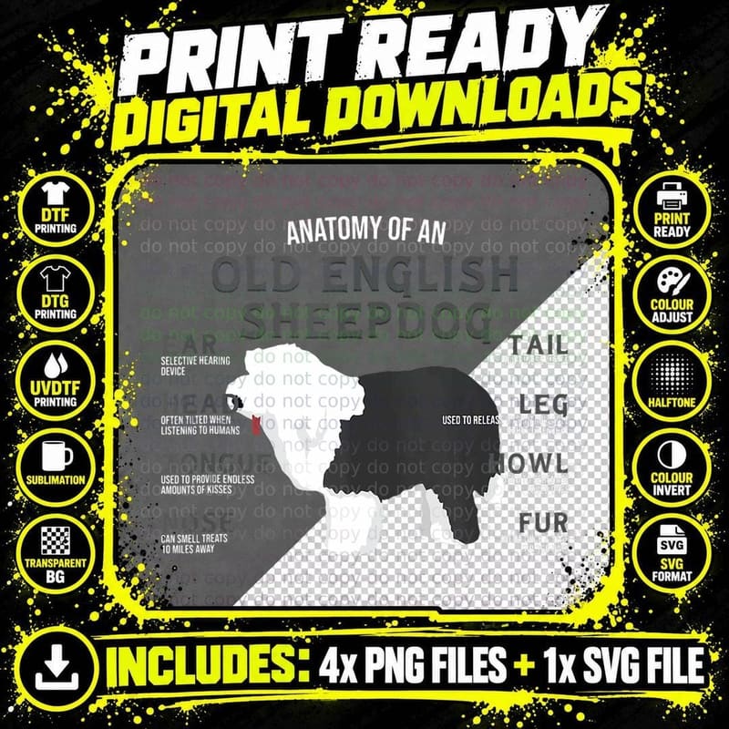 Anatomy of an Old English Sheepdog Dogs T Shirt Fu Png SVG Digital Bundle