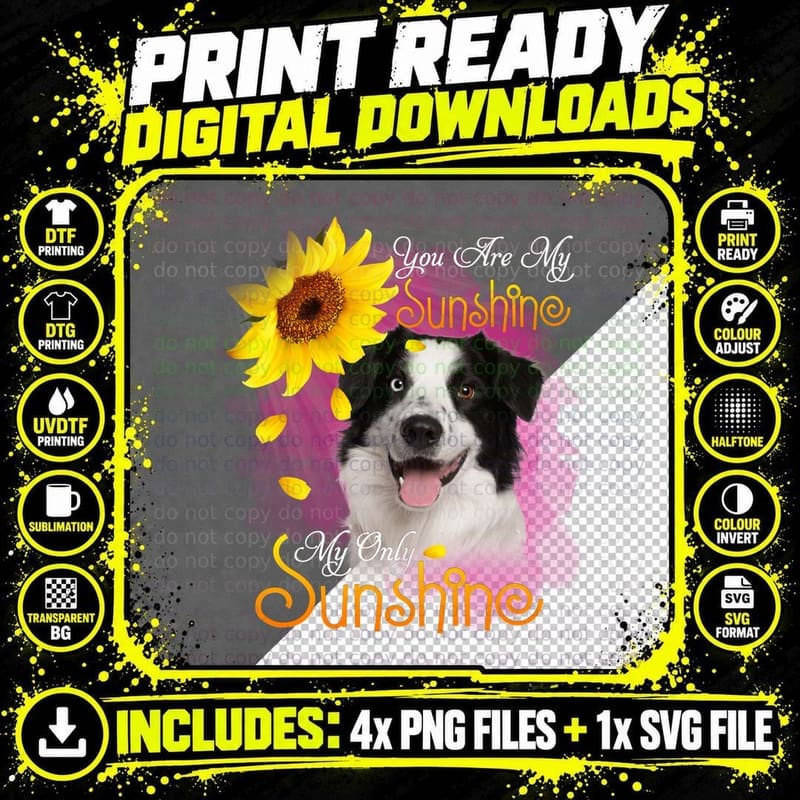 Border Collie T-Shirt, You Are My Sunshine Png SVG Digital Bundle
