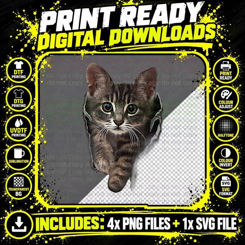 Brown Kitten Staring Cute T-Shirt Cats Tee Shirt Gifts Png SVG Digital Bundle