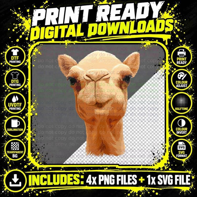 Camel Art for Men Women Kids Desert Animal Camel Lover Png SVG Digital Bundle