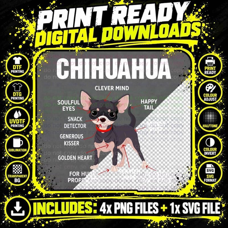 Chihuahua Anatomy T-Shirt, Pet Lover Apparel Png SVG Digital Bundle