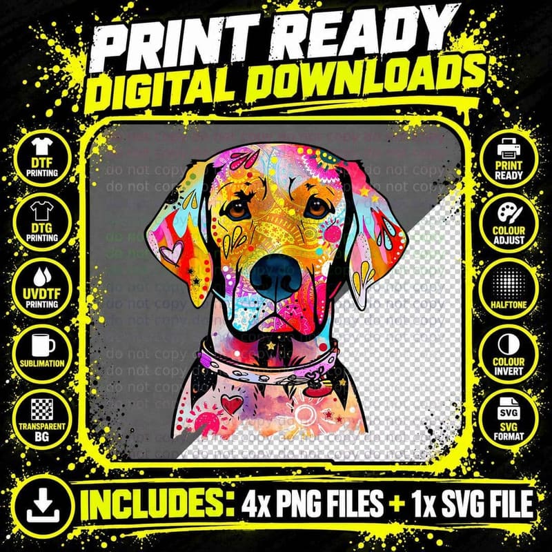 Colorful Abstract Labrador Retriever Portrait Lab Owner Png SVG Digital Bundle