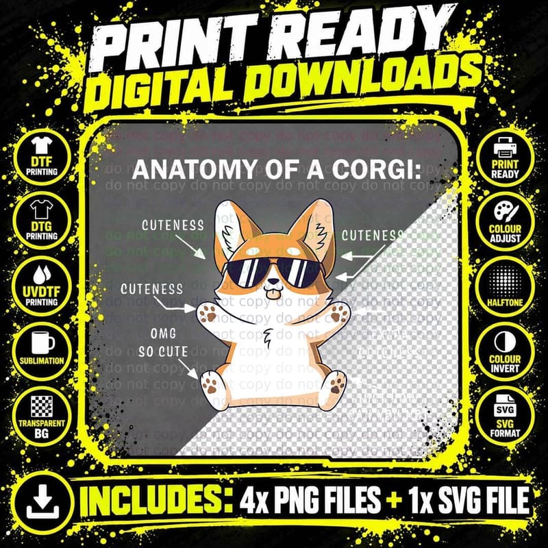 Corgi Anatomy T-Shirt, Cool Corgi Design Png SVG Digital Bundle