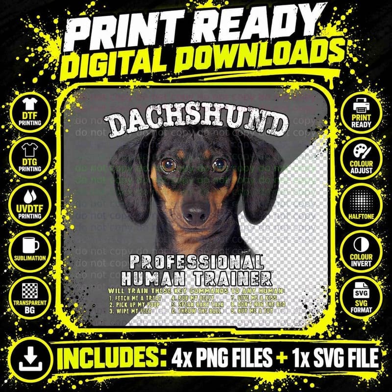 Dachshund Black Tan Professional Human Trainer T-Shirt Png SVG Digital Bundle