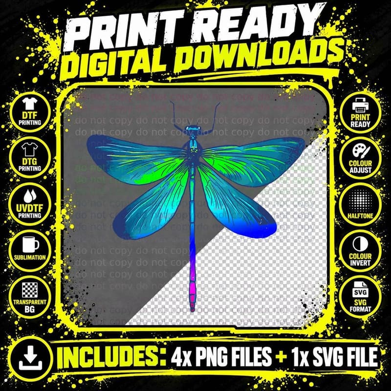 Dragonfly Colorful Dragonflies Abstract Nature Insect Png SVG Digital Bundle