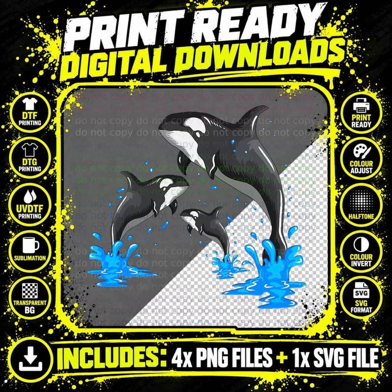 Killer Whale Orca Whale Family Jumps Out of the Water Png SVG Digital Bundle