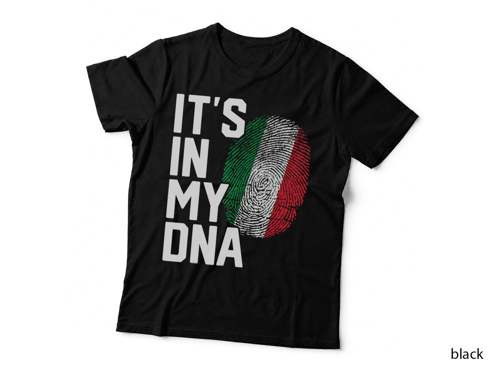 Italy Italian Flag Heritage T-Shirt