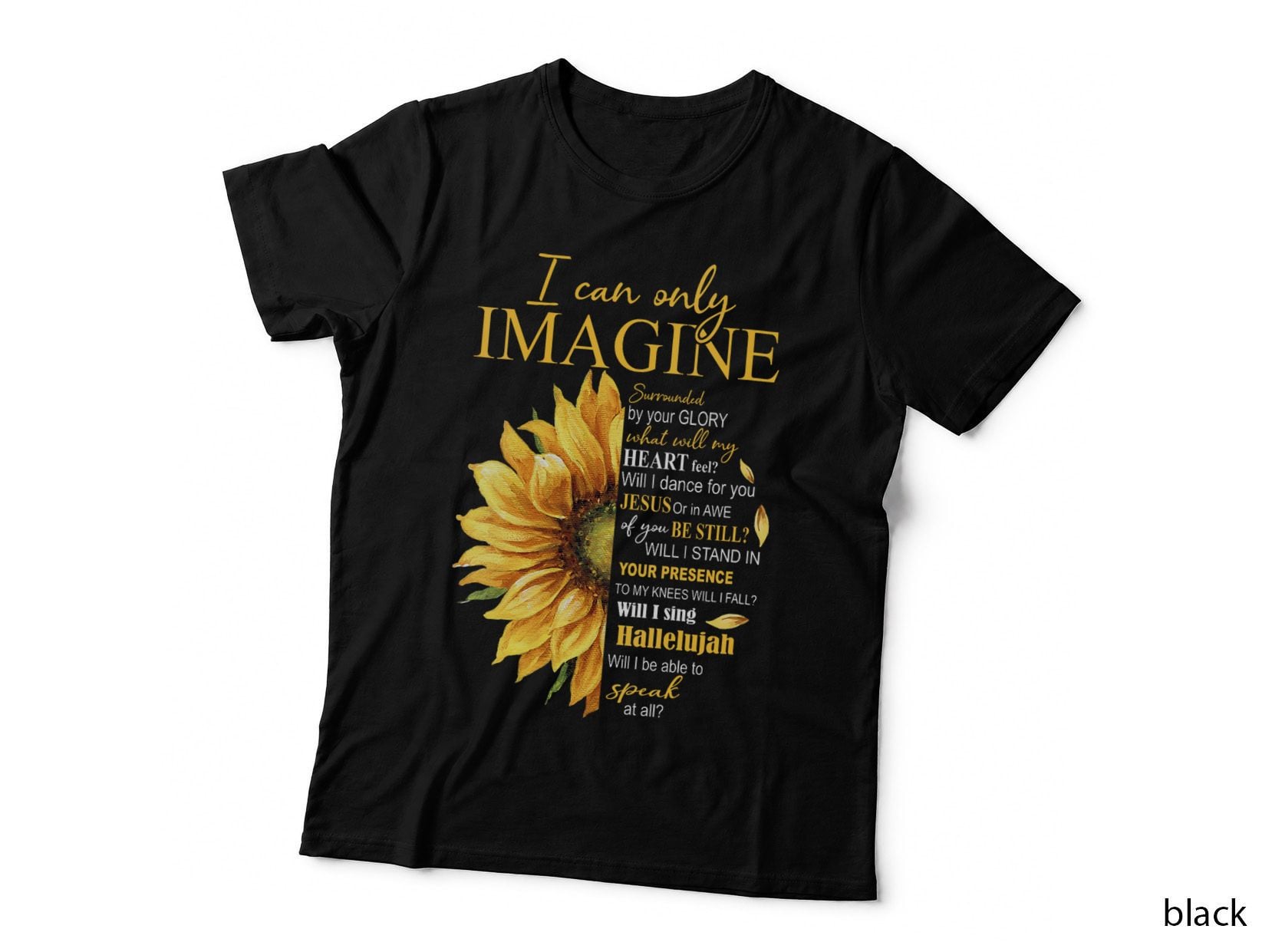 I Only Can Imagine Faith Christian Catholic Jesus God Lover T-Shirt