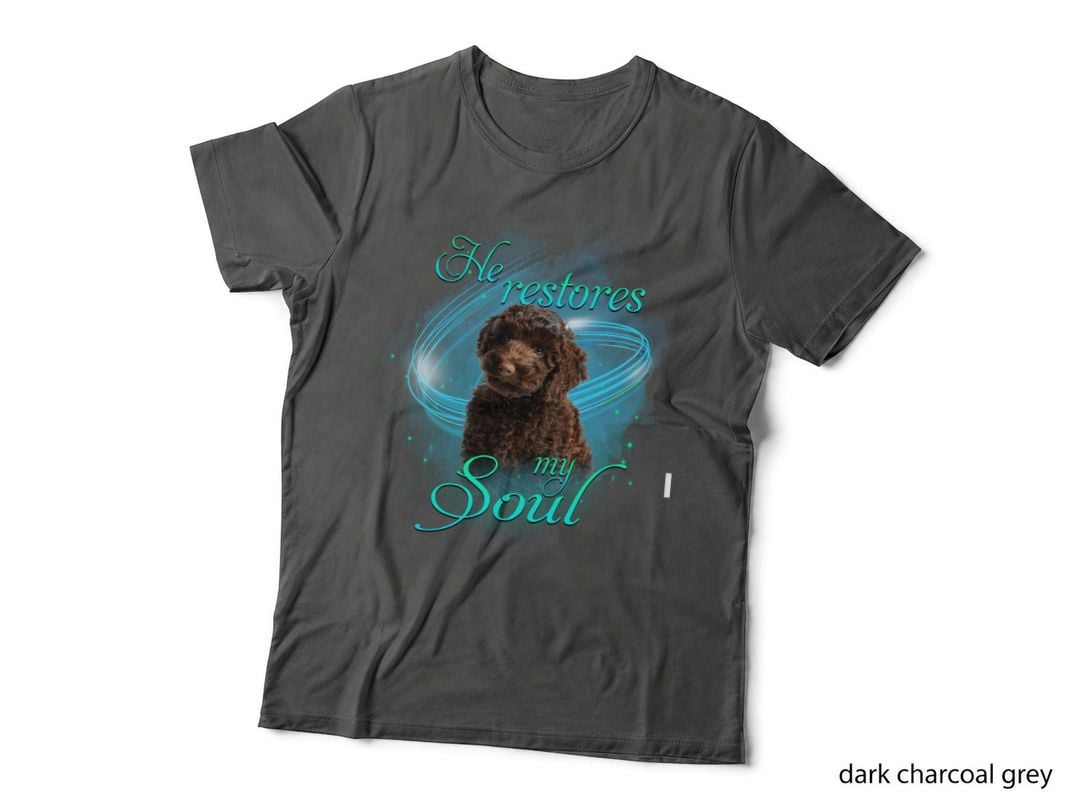 Poodle He Restores My Soul T-Shirt, Religious Faith Apparel