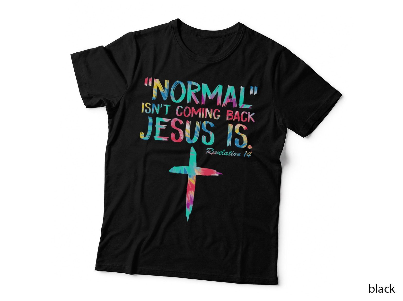 Normal Isn't Coming Back Jesus Is Outfit Men Women Boy Girl T-Shirt