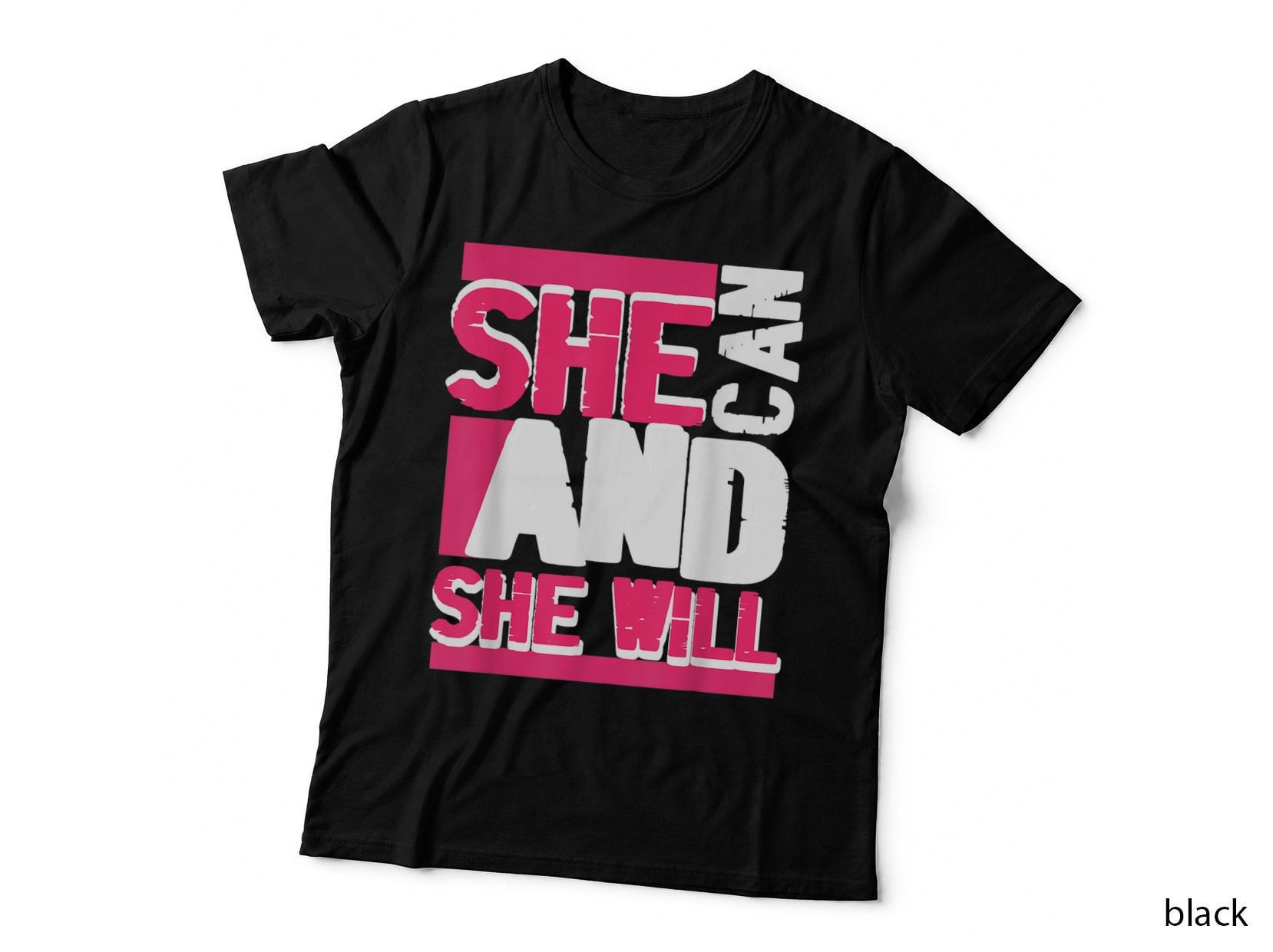 She Can and She Will Women Rights Feminism Feminist T-Shirt