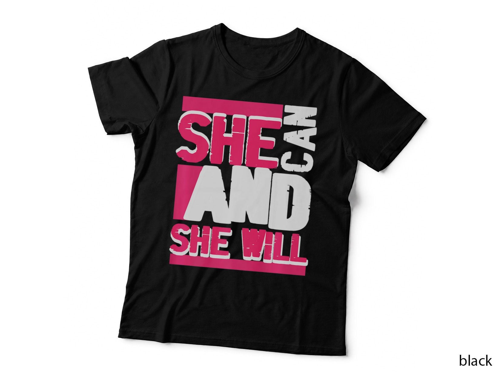 She Can and Will Women Rights Feminism Feminist T-Shirt