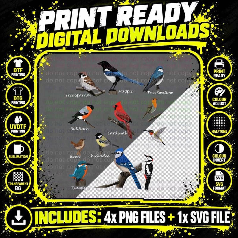 Garden Birds Cardinal Blue Jay Hummingbird Robin Wren Png SVG Digital Bundle