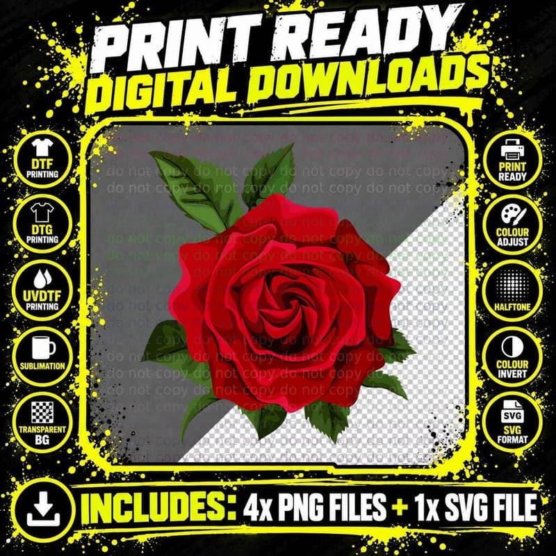 Red Roses for Men, Women, and Youth Roses Flower Png SVG Digital Bundle