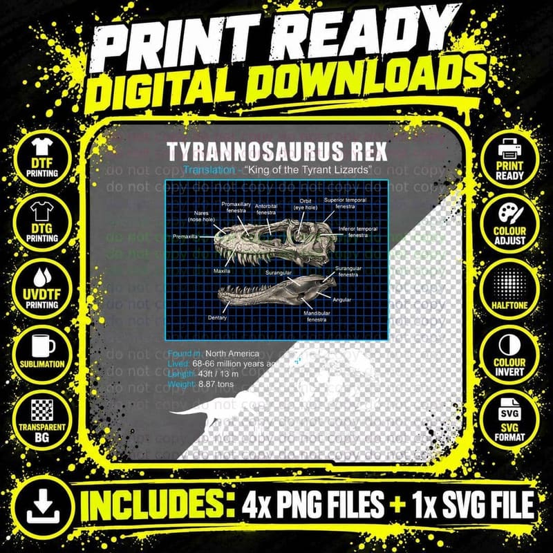 Tyrannosaurus Rex Skull Anatomy T-Shirt Png SVG Digital Bundle