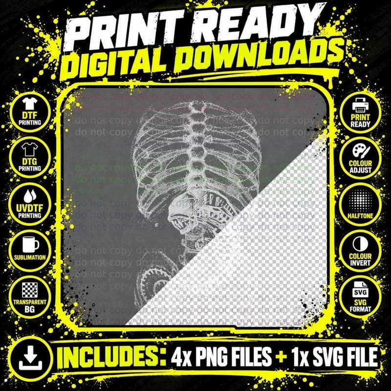 Cartoon White Grey Bones Skeleton Anatomy Illustration Png SVG Digital Bundle