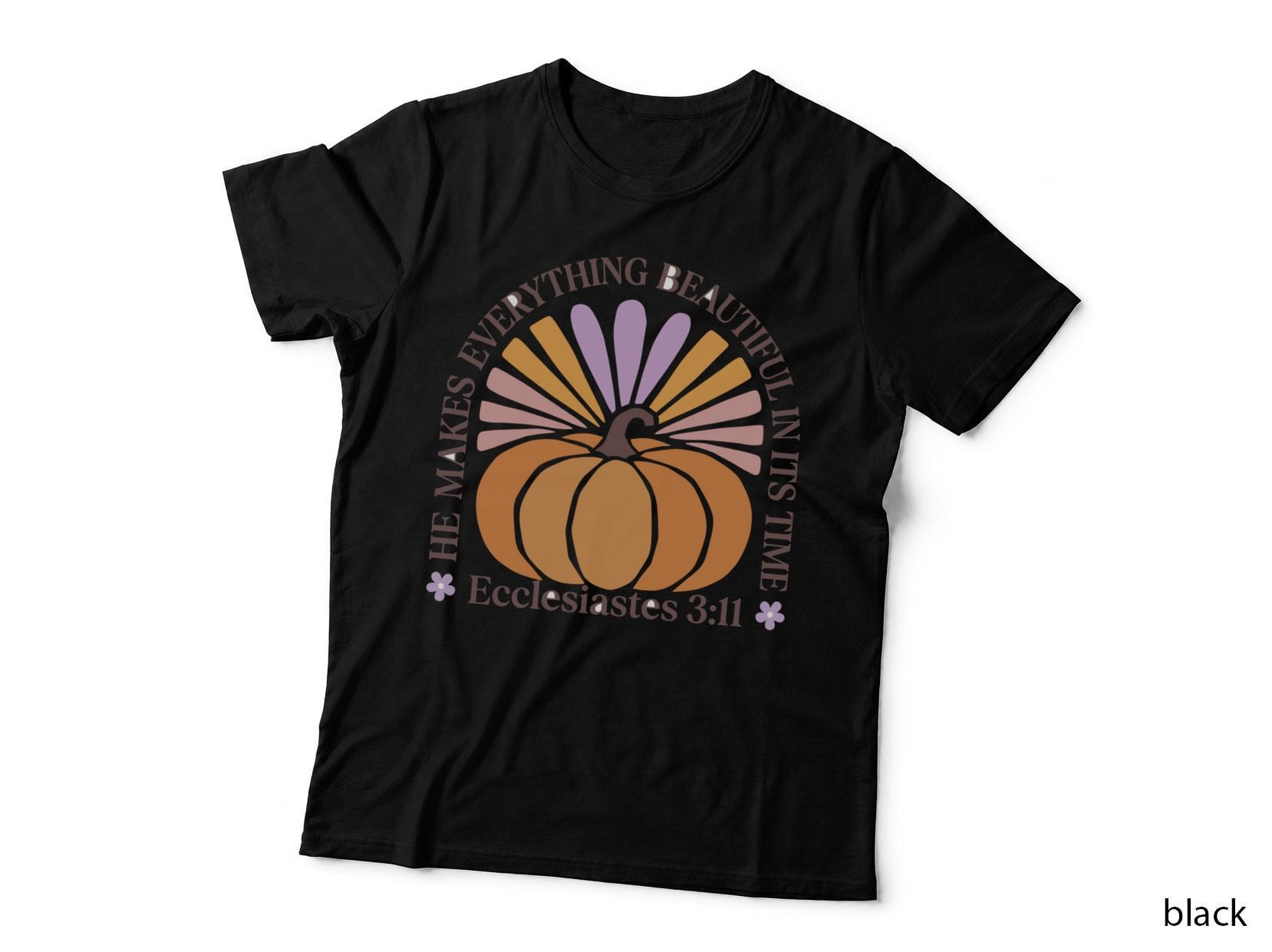 He Makes Everything Beautiful in Its Time Ecclesiastes 3 11 Christian T-Shirt