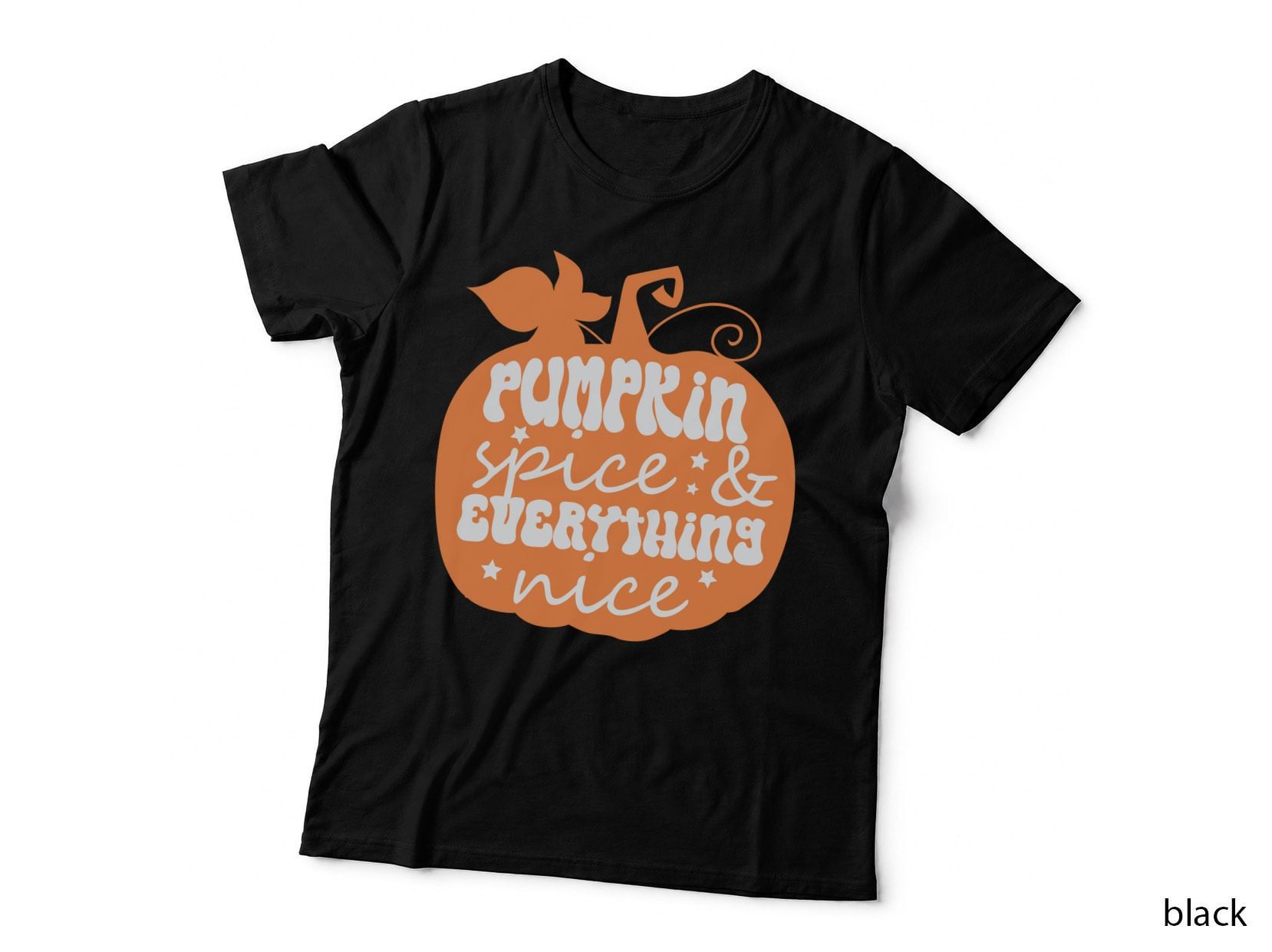 Pumpkin Spice & Everything Nice Fall T-Shirt, Pumpkin with Vines and Stars