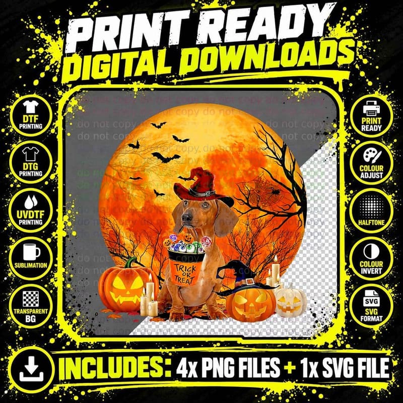 Dachshund Dog Witch Hat Pumpkin Halloween Costume T-Shirt Png SVG Digital Bundle
