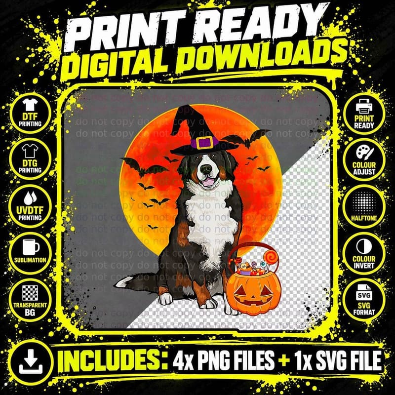 Dog Halloween Bernese Mountain Dog Jack O Lantern Png SVG Digital Bundle