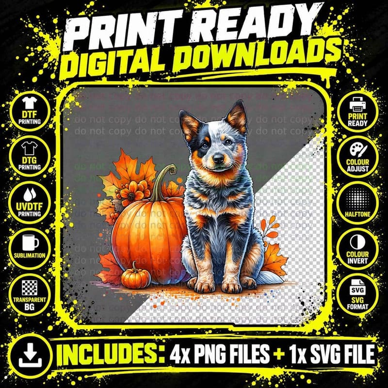 Australian Cattle Dog Fall Pumpkin Halloween, Horror Png SVG Digital Bundle