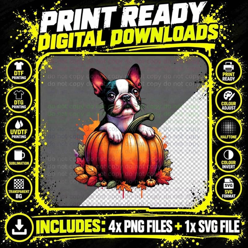 Boston Terrier Pumpkin Halloween, Dog Lover, Cute T-Shirt Png SVG Digital Bundle