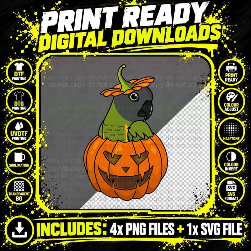 Halloween Pumpkin Parrot I Senegal Parrot T-Shirt Png SVG Digital Bundle