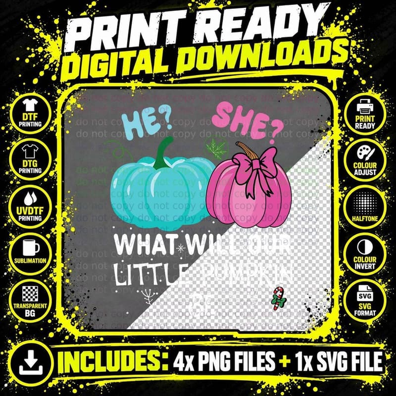 He She What Will Our Little Pumpkin Be Gender-Reveal Png SVG Digital Bundle
