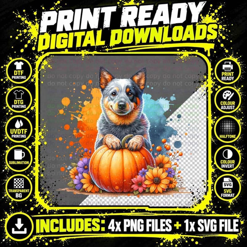 Australian Cattle Dog Pumpkin Halloween, Horror Png SVG Digital Bundle