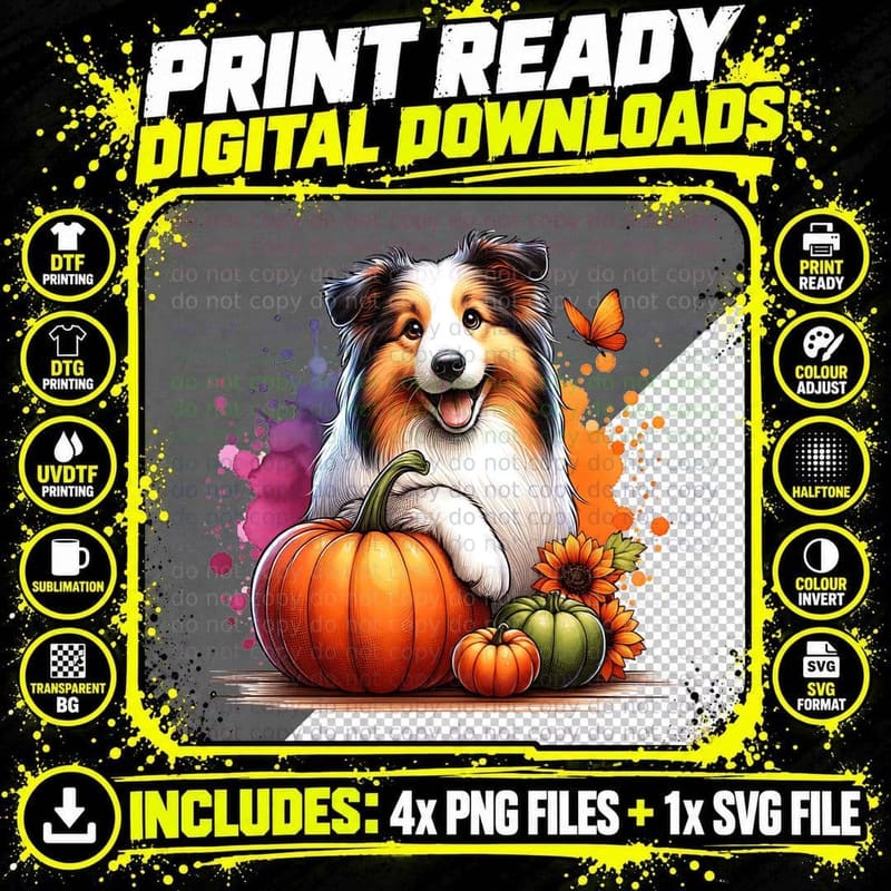 Border Collie Pumpkin Halloween, Dog Lover, Cute T-Shirt Png SVG Digital Bundle
