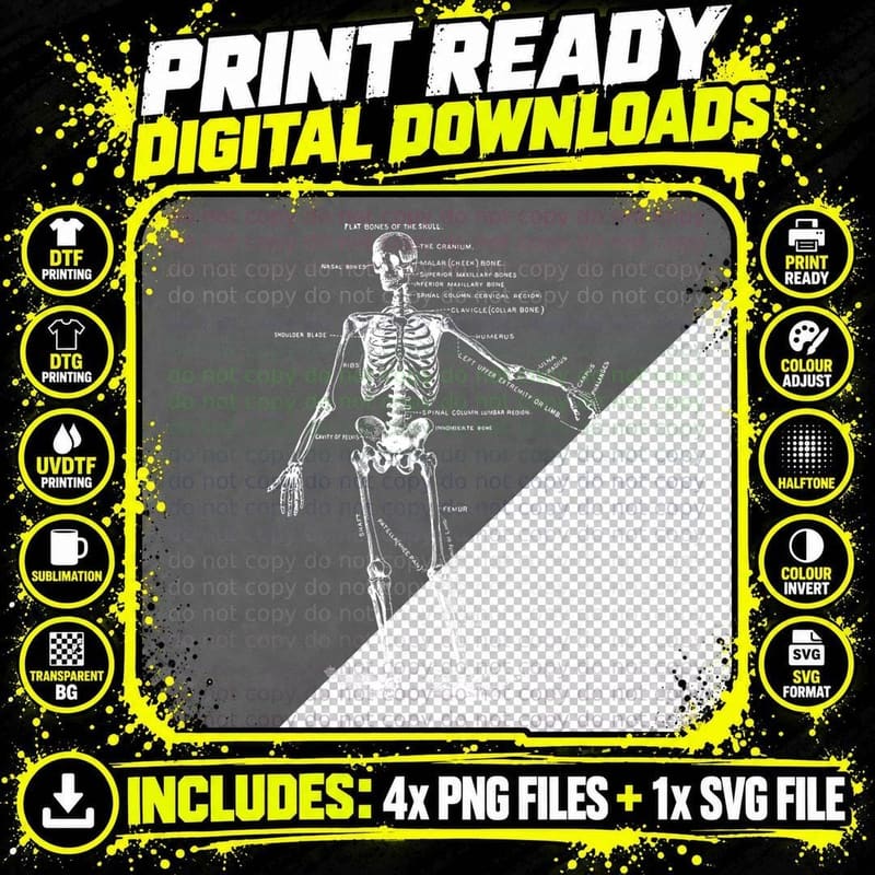 Human Skeleton Anatomy Drawing Diagram T-Shirt Png SVG Digital Bundle