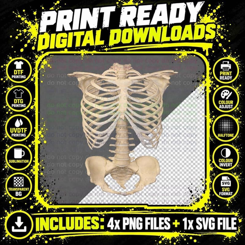 Scary Halloween Anatomy Rib Cage Human Skeleton T-Shirt Png SVG Digital Bundle