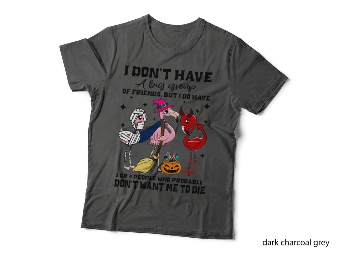 Halloween Flamingo Witch T-Shirt, Funny Sarcasm, Halloween Apparel