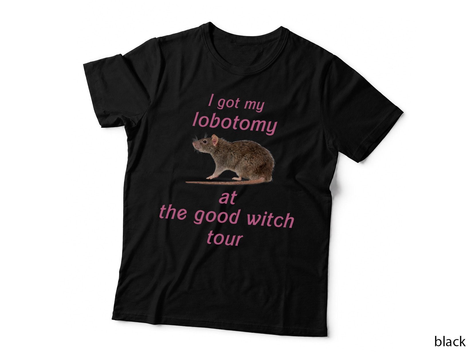 I Got My Lobotomy at the Good Witch Tour T-Shirt